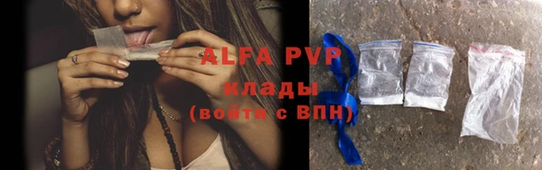 Альфа ПВП Новодвинск
