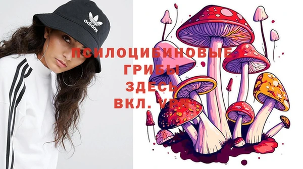 альфа пвп Новокубанск
