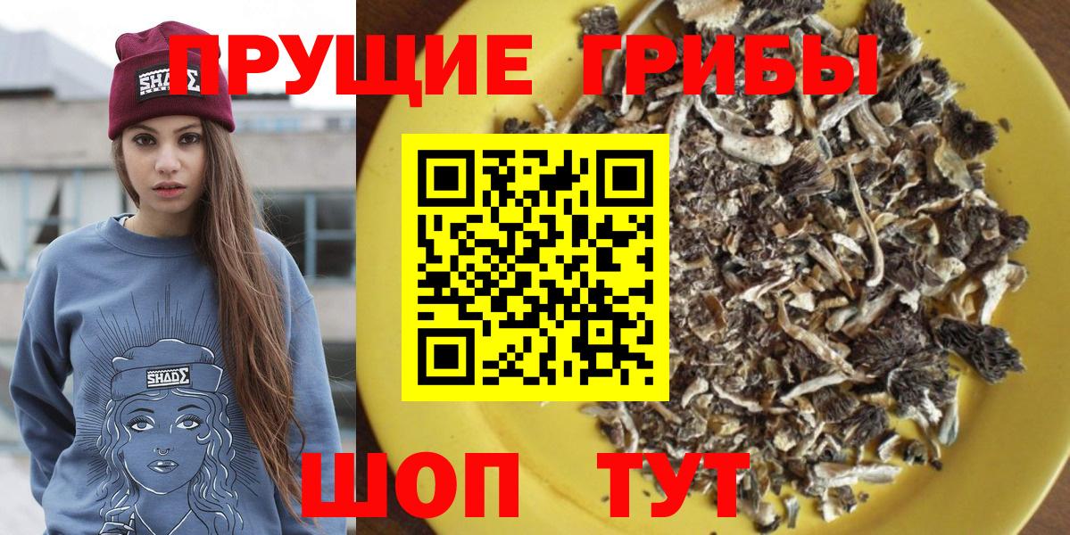 Белогорск  Псилоцибиновые грибы Psilocybe  Вход с VPN 