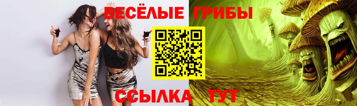 Псилоцибиновые грибы Psilocybine cubensis Белогорск